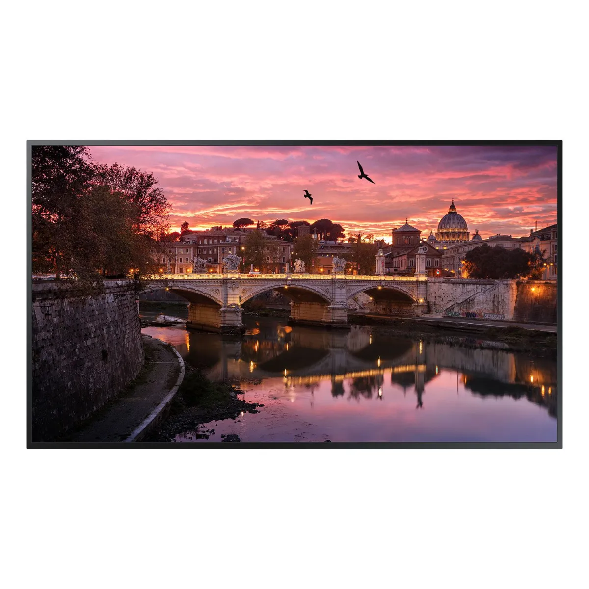 Samsung Digital Signage 55" Q55BB