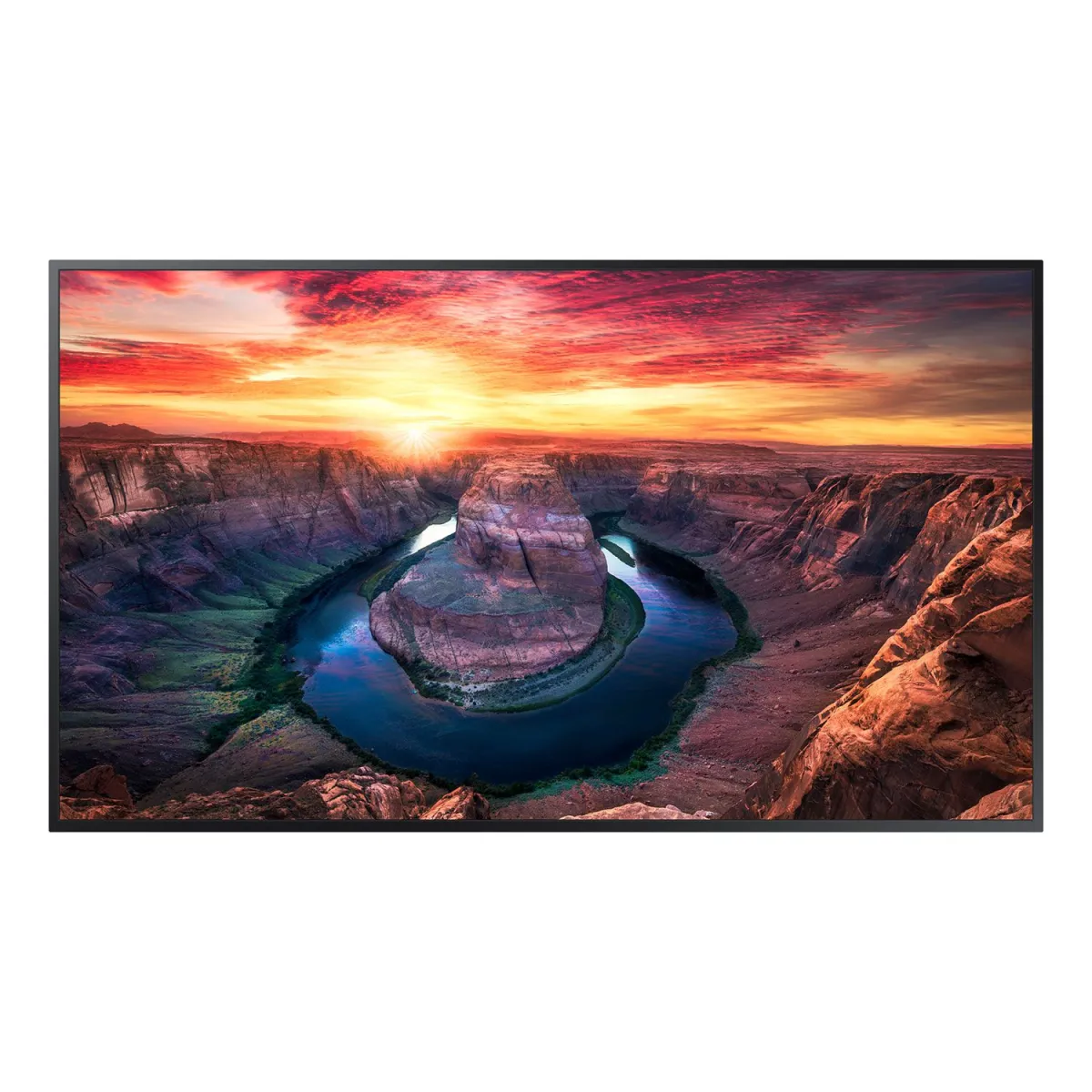 Samsung Digital Signage 55" QM55R