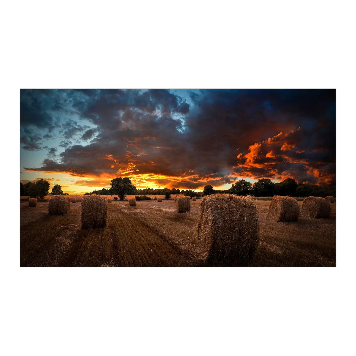 Samsung Videowall 55" VM55T-U