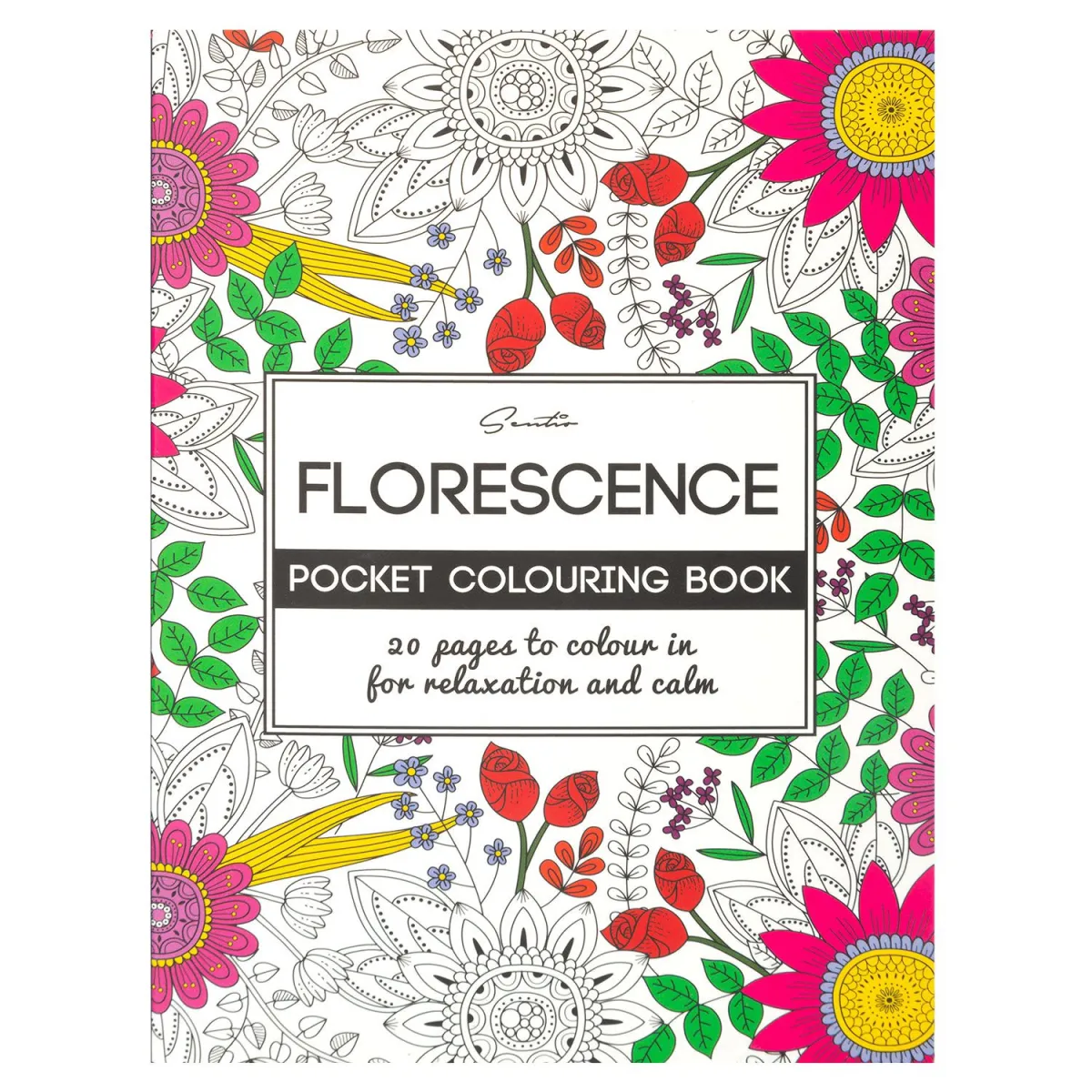 Sentio Βιβλίο Ζωγραφικής Florescene