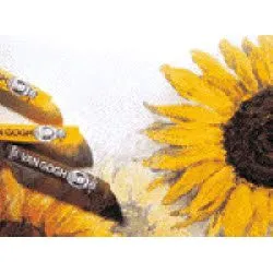 Talens Παστέλ Λαδιού Van Gogh