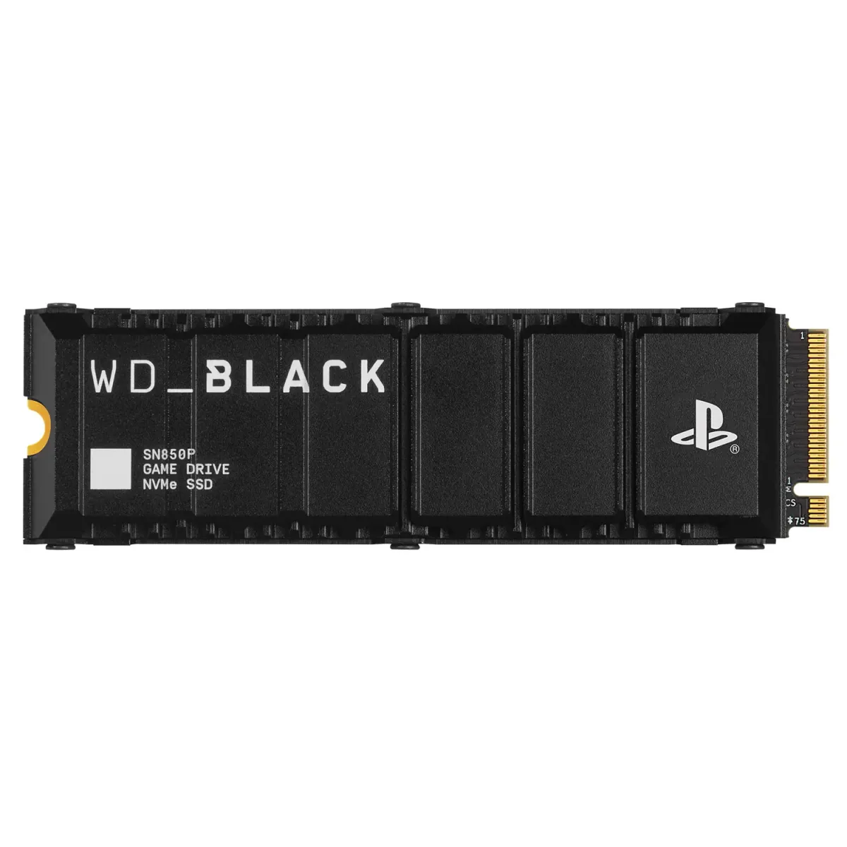 WD SSD SN850P Black NVMe M.2 1TB for PS5