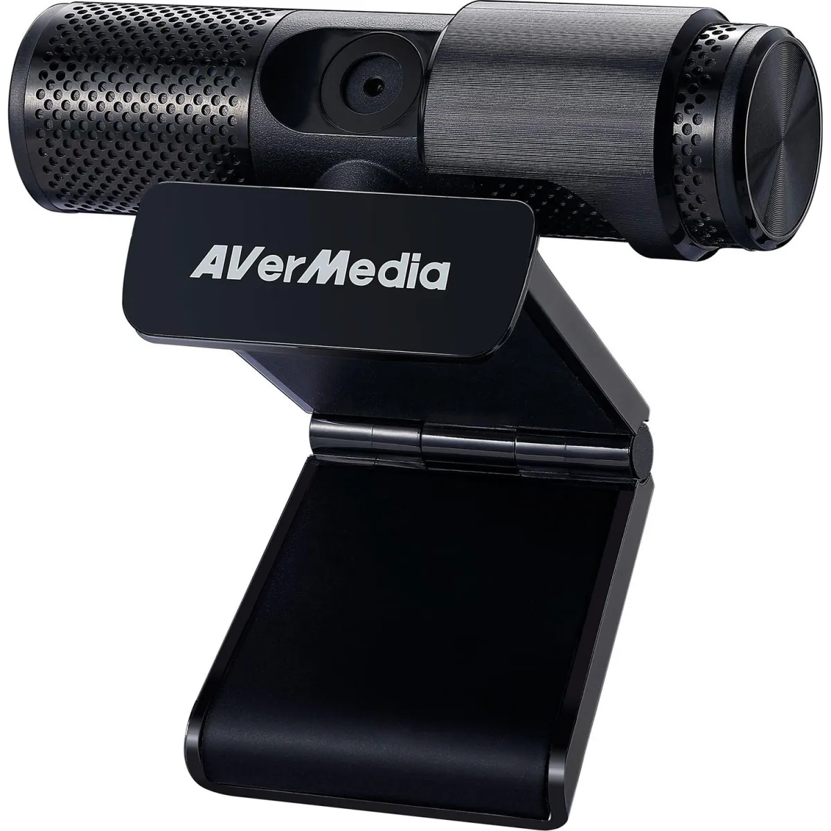 Web Camera AverMedia PW313