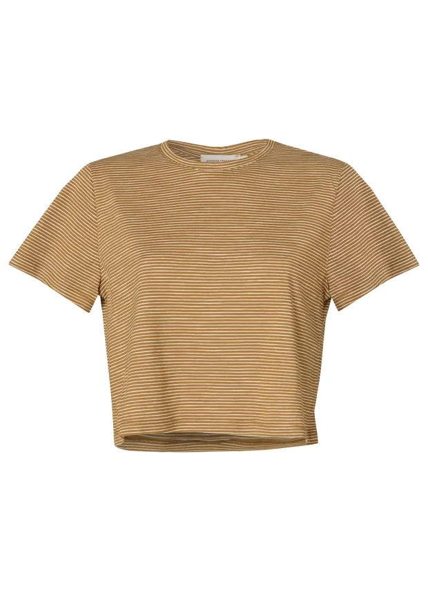 The Cropped T-shirt Tan Stripes