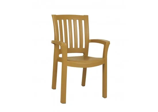 ΠΟΛΥΘΡΟΝΑ ΠΛΑΣΤΙΚΗ TEAK