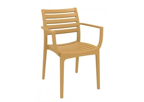 ΠΟΛΥΘΡΟΝΑ ΠΟΛΥΠΡΟΠΥΛΕΝΙΟΥ TEAK