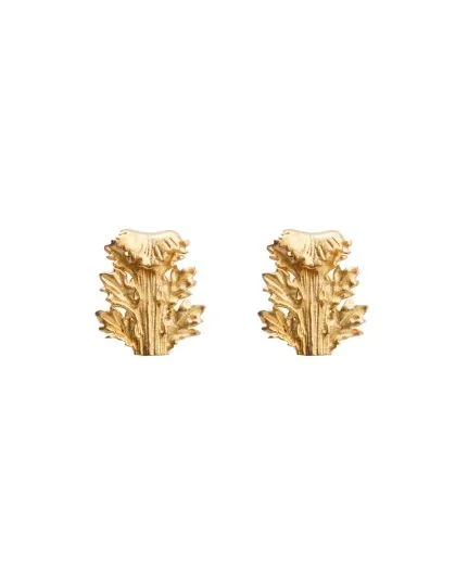 Acanthus' shape small earrings