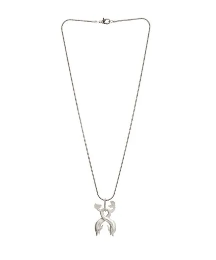 Necklace with dolphin