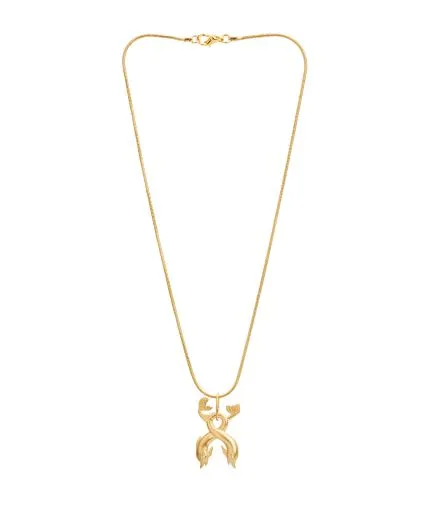 Necklace with dolphin